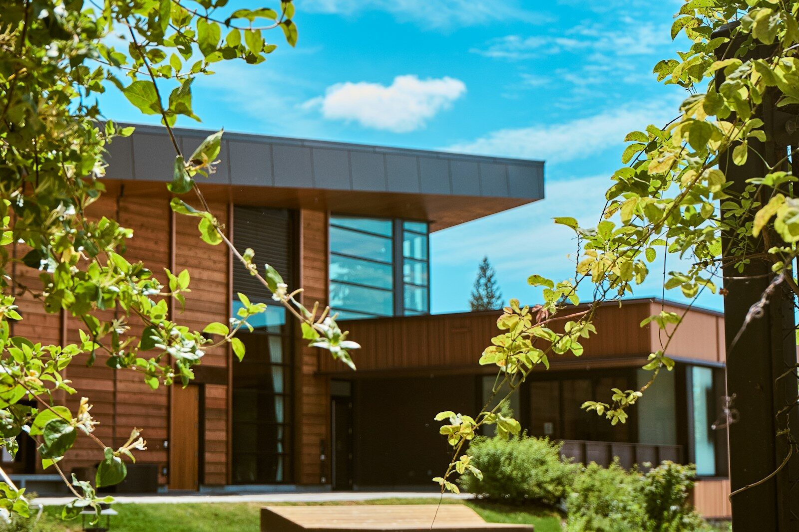Modern wooden house framed by green leaves under blue sky